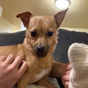 Meet your Posher, Audriana